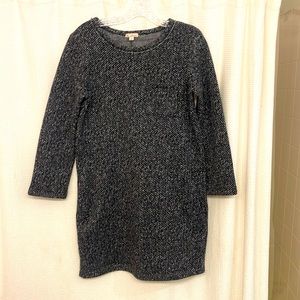 Cozy long sleeve mini dress (with pockets!) by GAP. Size Small.